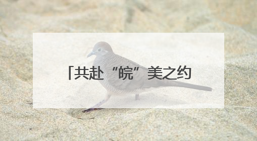 共赴“皖”美之约 安徽开展“青年学子安徽行”活动