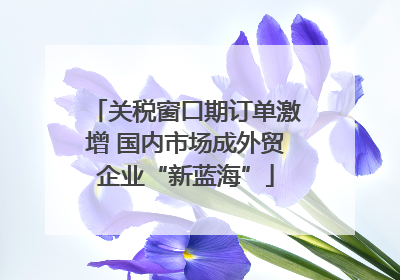 关税窗口期订单激增 国内市场成外贸企业“新蓝海”