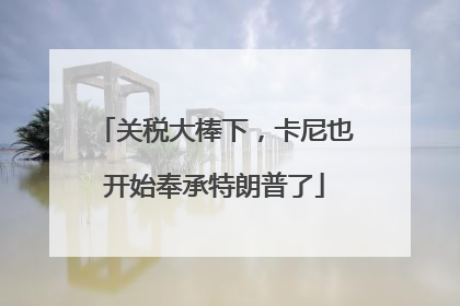 关税大棒下，卡尼也开始奉承特朗普了