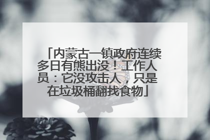 内蒙古一镇政府连续多日有熊出没！工作人员：它没攻击人，只是在垃圾桶翻找食物