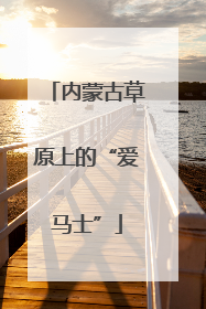 内蒙古草原上的“爱马士”