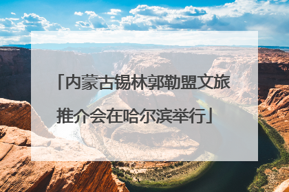 内蒙古锡林郭勒盟文旅推介会在哈尔滨举行