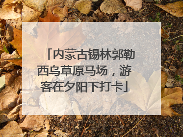 内蒙古锡林郭勒西乌草原马场，游客在夕阳下打卡