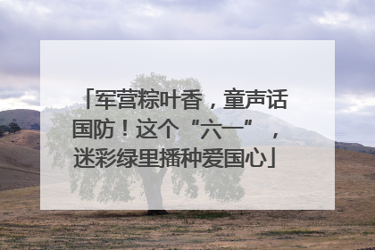 军营粽叶香，童声话国防！这个“六一”，迷彩绿里播种爱国心
