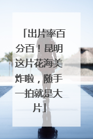 出片率百分百！昆明这片花海美炸啦，随手一拍就是大片