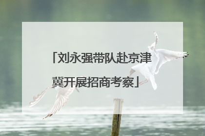 刘永强带队赴京津冀开展招商考察