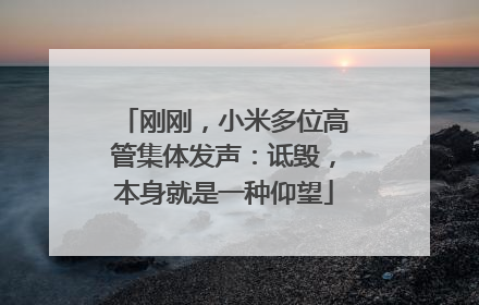 刚刚，小米多位高管集体发声：诋毁，本身就是一种仰望