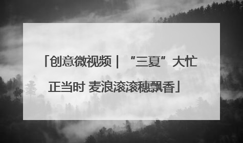 创意微视频｜“三夏”大忙正当时 麦浪滚滚穗飘香