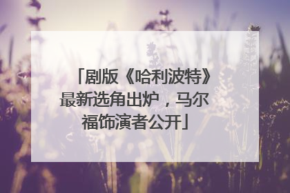 剧版《哈利波特》最新选角出炉，马尔福饰演者公开