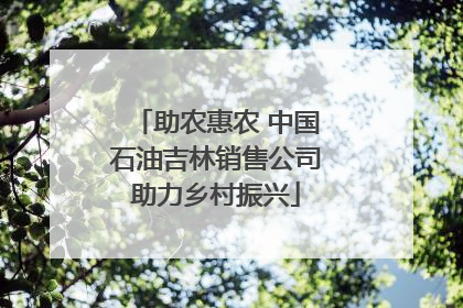 助农惠农 中国石油吉林销售公司助力乡村振兴