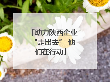 助力陕西企业“走出去” 他们在行动