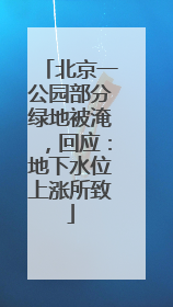 北京一公园部分绿地被淹，回应：地下水位上涨所致