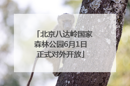 北京八达岭国家森林公园6月1日正式对外开放