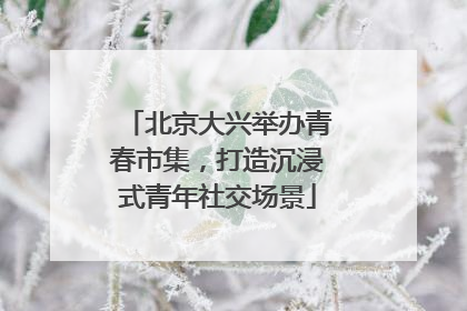 北京大兴举办青春市集，打造沉浸式青年社交场景