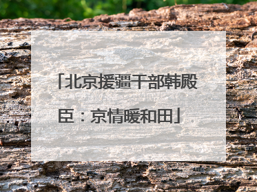 北京援疆干部韩殿臣：京情暖和田