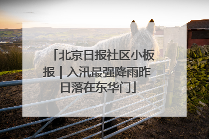北京日报社区小板报｜入汛最强降雨昨日落在东华门