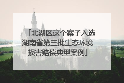 北湖区这个案子入选湖南省第三批生态环境损害赔偿典型案例