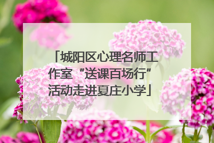 城阳区心理名师工作室“送课百场行”活动走进夏庄小学