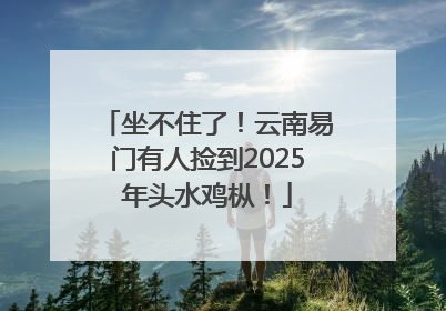 坐不住了！云南易门有人捡到2025年头水鸡枞！