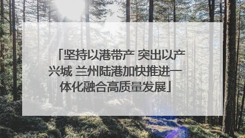 坚持以港带产 突出以产兴城 兰州陆港加快推进一体化融合高质量发展
