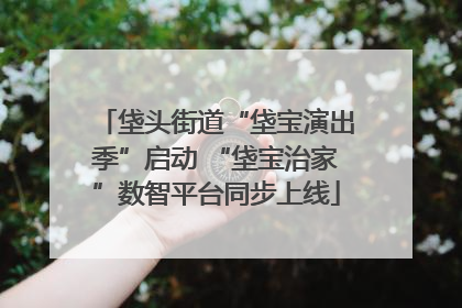 垡头街道“垡宝演出季”启动 “垡宝治家”数智平台同步上线