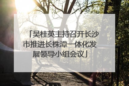吴桂英主持召开长沙市推进长株潭一体化发展领导小组会议