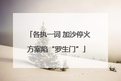各执一词 加沙停火方案陷“罗生门”