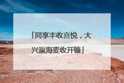 同享丰收喜悦，大兴瀛海麦收开镰