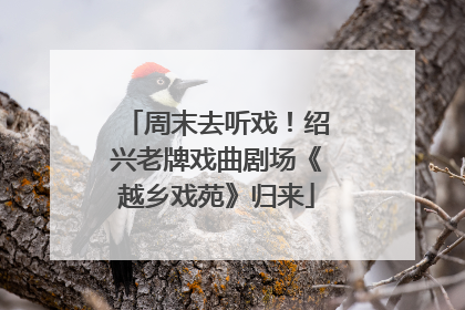 周末去听戏！绍兴老牌戏曲剧场《越乡戏苑》归来