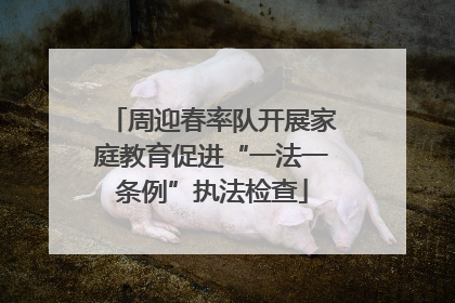 周迎春率队开展家庭教育促进“一法一条例”执法检查