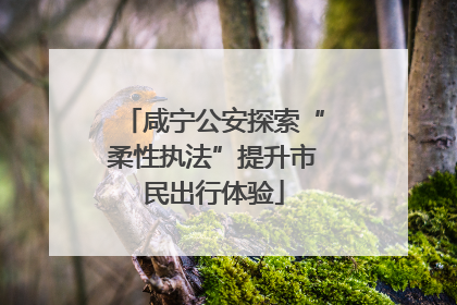 咸宁公安探索“柔性执法”提升市民出行体验