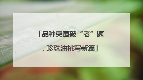 品种突围破“老”题，珍珠油桃写新篇