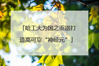 哈工大为国之重器打造高可靠“神经元”