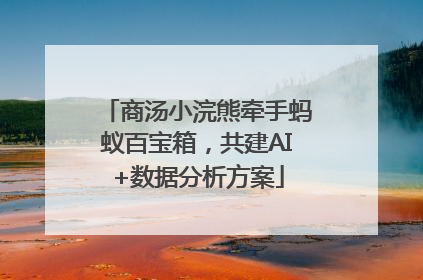 商汤小浣熊牵手蚂蚁百宝箱，共建AI+数据分析方案