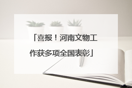 喜报！河南文物工作获多项全国表彰