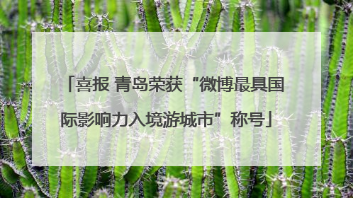 喜报 青岛荣获“微博最具国际影响力入境游城市”称号