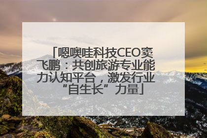 嗯噢哇科技CEO窦飞鹏：共创旅游专业能力认知平台，激发行业“自生长”力量