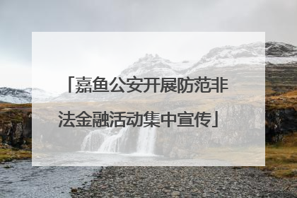 嘉鱼公安开展防范非法金融活动集中宣传