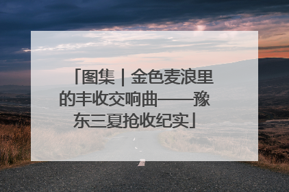 图集｜金色麦浪里的丰收交响曲——豫东三夏抢收纪实