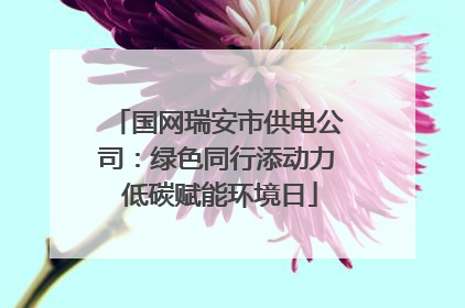 国网瑞安市供电公司：绿色同行添动力 低碳赋能环境日