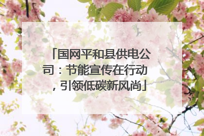 国网平和县供电公司：节能宣传在行动，引领低碳新风尚