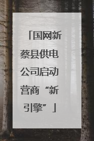 国网新蔡县供电公司启动营商“新引擎”