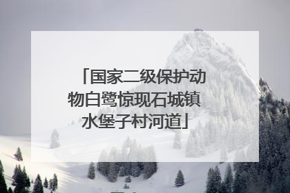 国家二级保护动物白鹭惊现石城镇水堡子村河道