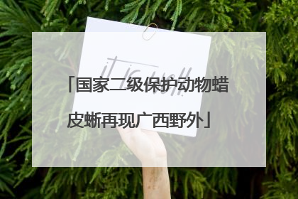 国家二级保护动物蜡皮蜥再现广西野外