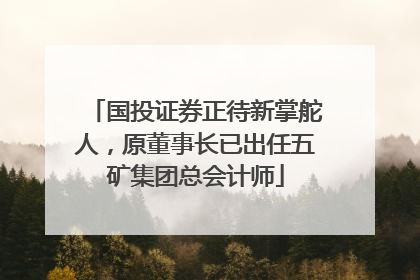 国投证券正待新掌舵人，原董事长已出任五矿集团总会计师