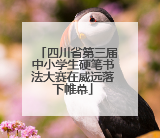 四川省第三届中小学生硬笔书法大赛在威远落下帷幕