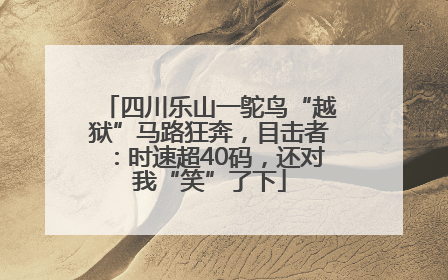 四川乐山一鸵鸟“越狱”马路狂奔，目击者：时速超40码，还对我“笑”了下