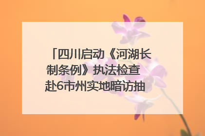 四川启动《河湖长制条例》执法检查 赴6市州实地暗访抽查｜四川人大之声