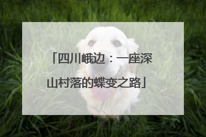 四川峨边：一座深山村落的蝶变之路