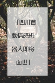 四川首款情感机器人即将面世